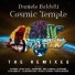 COSMIC TEMPLE - THE REMIXES